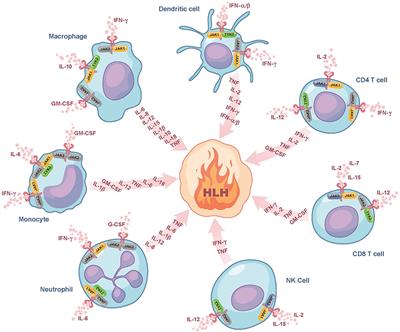 Use of the JAK Inhibitor Ruxolitinib in the Treatment of Hemophagocytic Lymphohistiocytosis